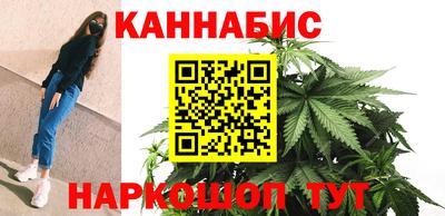 шишки Новоалтайск