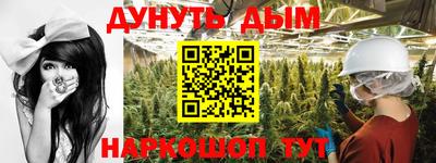 шишки Новоалтайск
