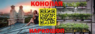 шишки Новоалтайск