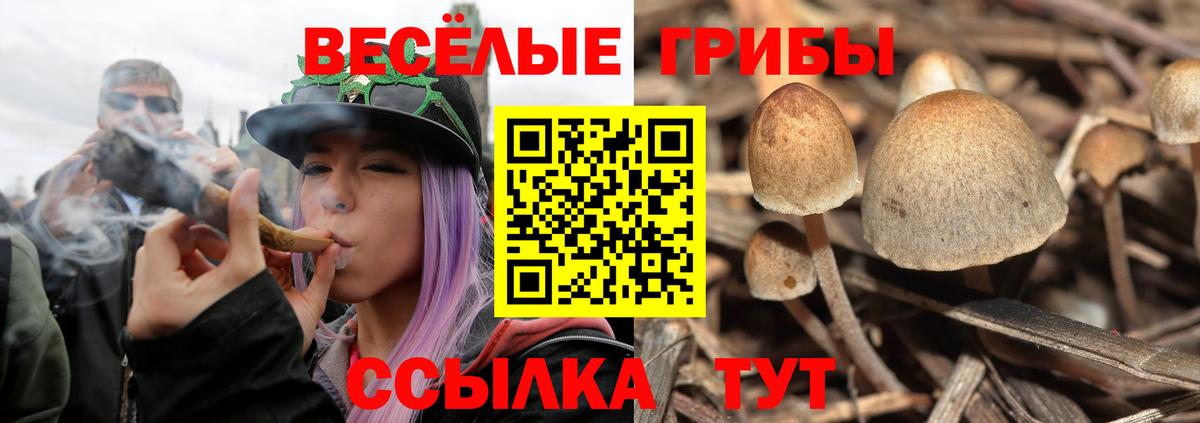 Псилоцибиновые грибы ЛСД  Галлюциногенные грибы прущие грибы  цена   Клин  Вход с VPN 
